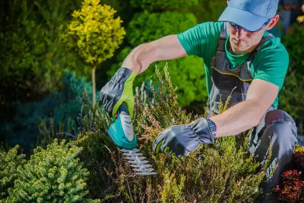 landscaping services Blue Ridge Manor